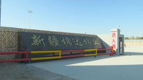 八十三團棉達棉花加工廠投入試運行，銀河棉業助力區域棉花產業升級