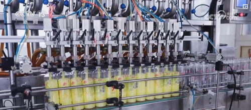 透過(guò)數(shù)據(jù)看變化，雙11購(gòu)物熱彰顯消費(fèi)市場(chǎng)活力與電子商務(wù)服務(wù)提升